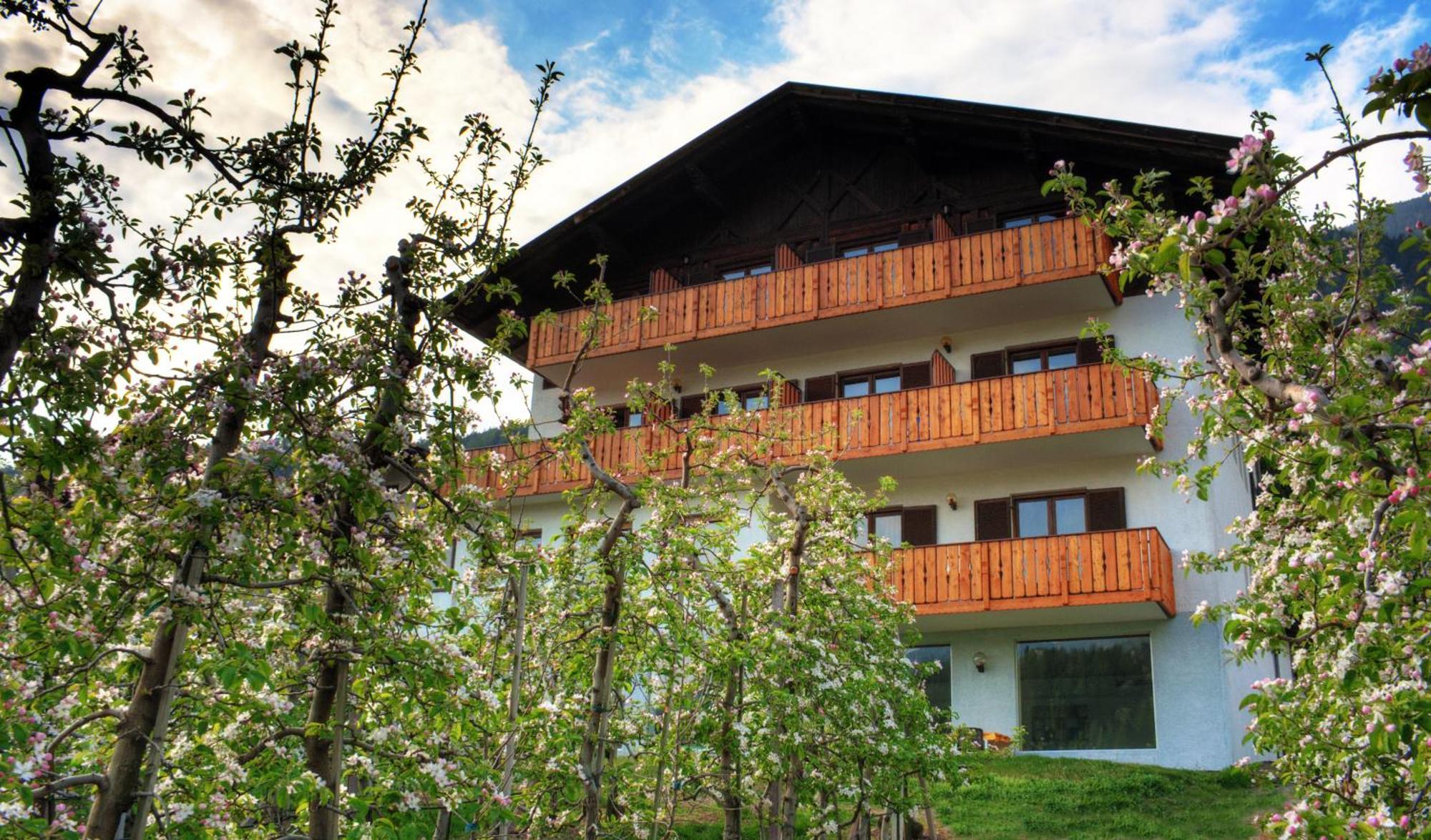 Pension Thalerhof Rifiano Luaran gambar